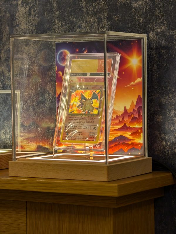 Trading Card Display Case