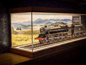 Bespoke Order – Gauge 1 Signature Series Model Display Case